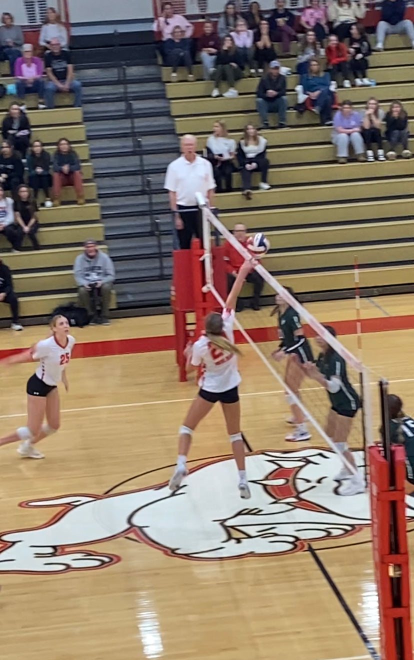 Wilson All-State setter Cameryn Niedrowski