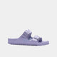 Purple Fog