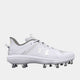 White/Metallic Silver