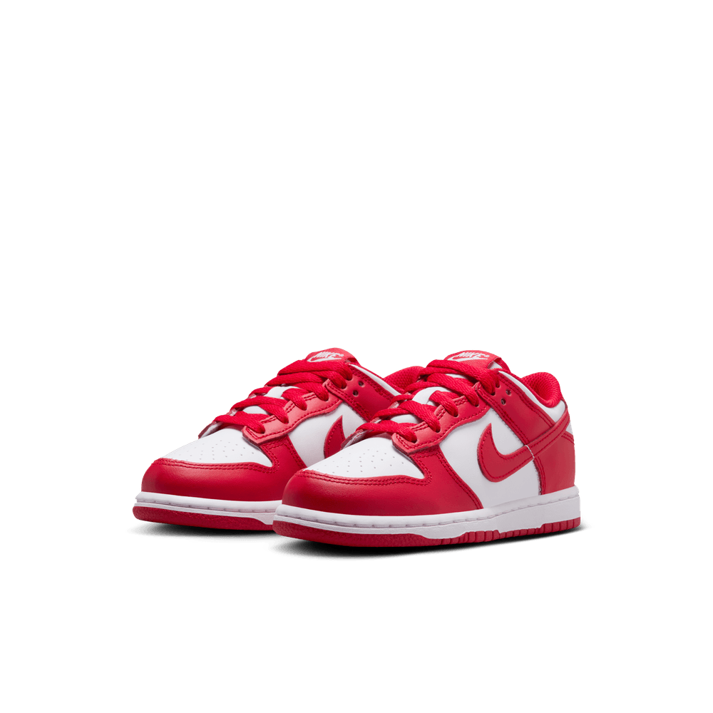 Nike Kids' Dunk Low