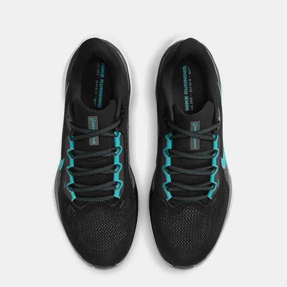 Top view of the Men's Nike Pegasus 41 Running Shoes.