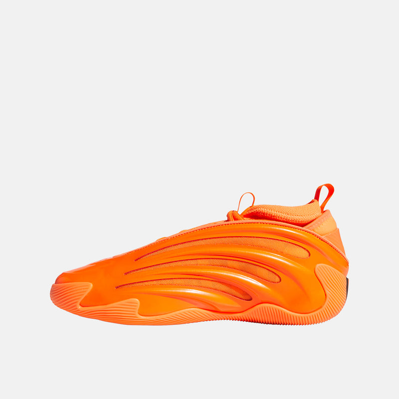 Side medial view of the Harden Volume 9.