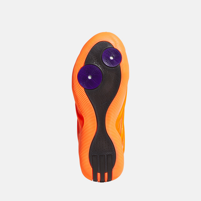 Bottom view of the Harden Volume 9.