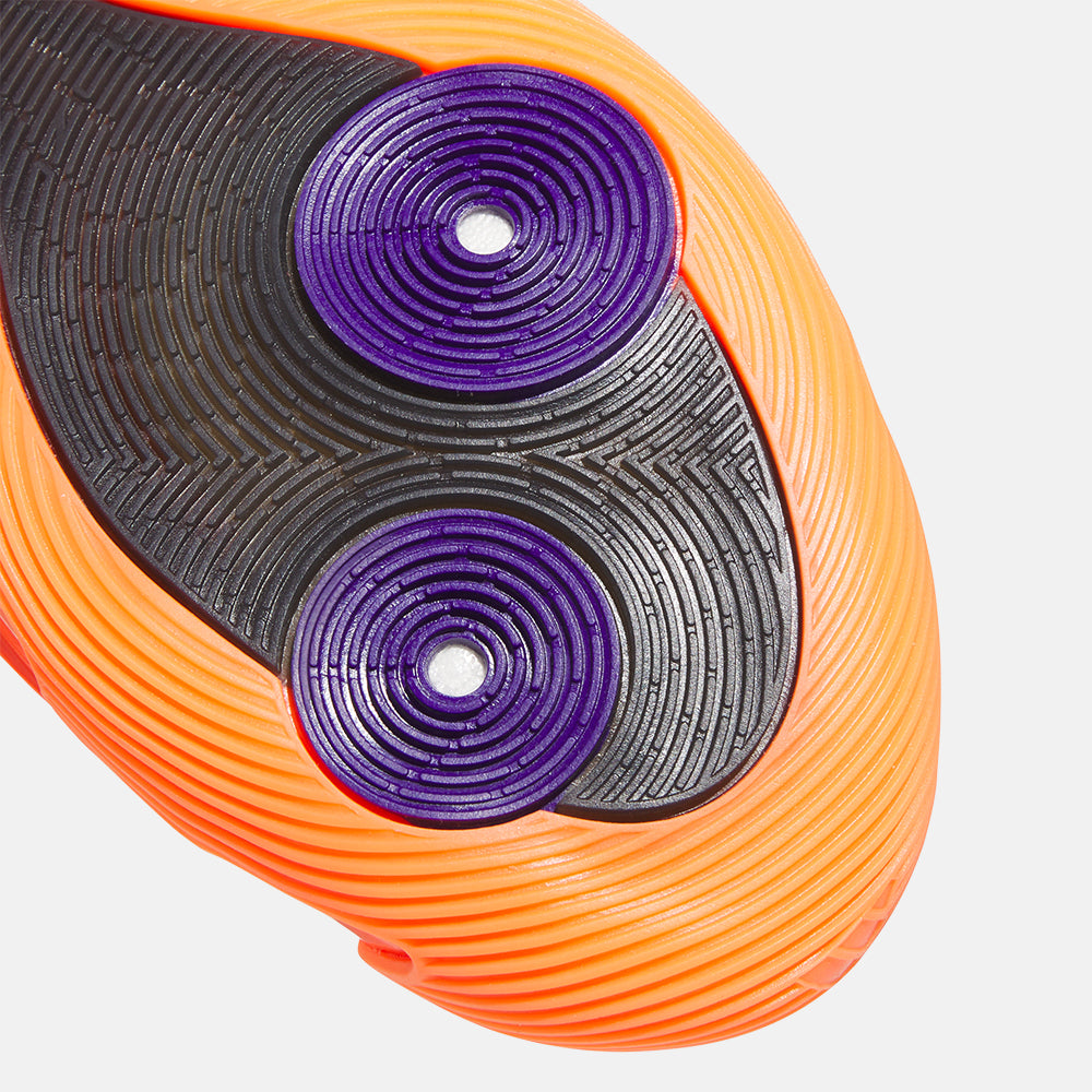 Bottom view of the Harden Volume 9.