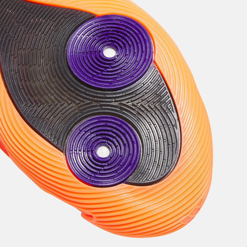 Bottom view of the Harden Volume 9.