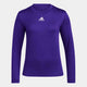 College Purple