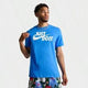 BLUE/WHT