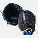 Black/Royal
