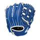 ROYAL/WHITE