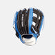 Black/Blue/White